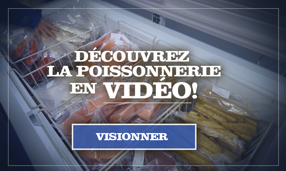 annonce-video2